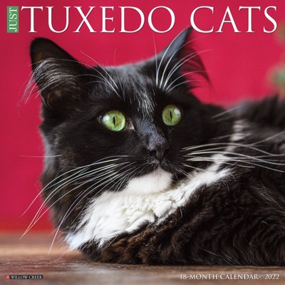 2022 Wall Calendar Just Tuxedo Cats - Willow Creek Press