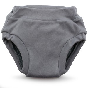 Kanga Care Ecoposh OBV (Organic viscose of Bamboo Velour) Potty Training Pants - 1 of 4