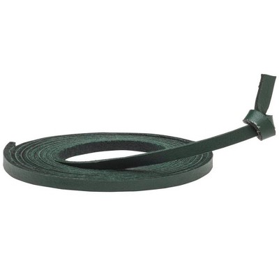 Mizuno Ball Glove Lace