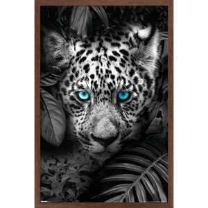 Trends International Reinders: Animals - Blue Eyed Leopard Framed Wall Poster Prints - 1 of 4