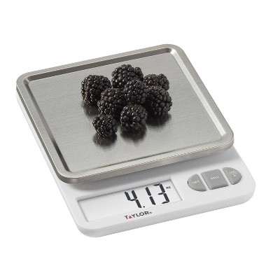 Taylor Glass Digital Kitchen Scale, Silver