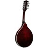 Gold Tone A-Style Mandolin with Pickup Tobacco Sunburst - 2 of 4