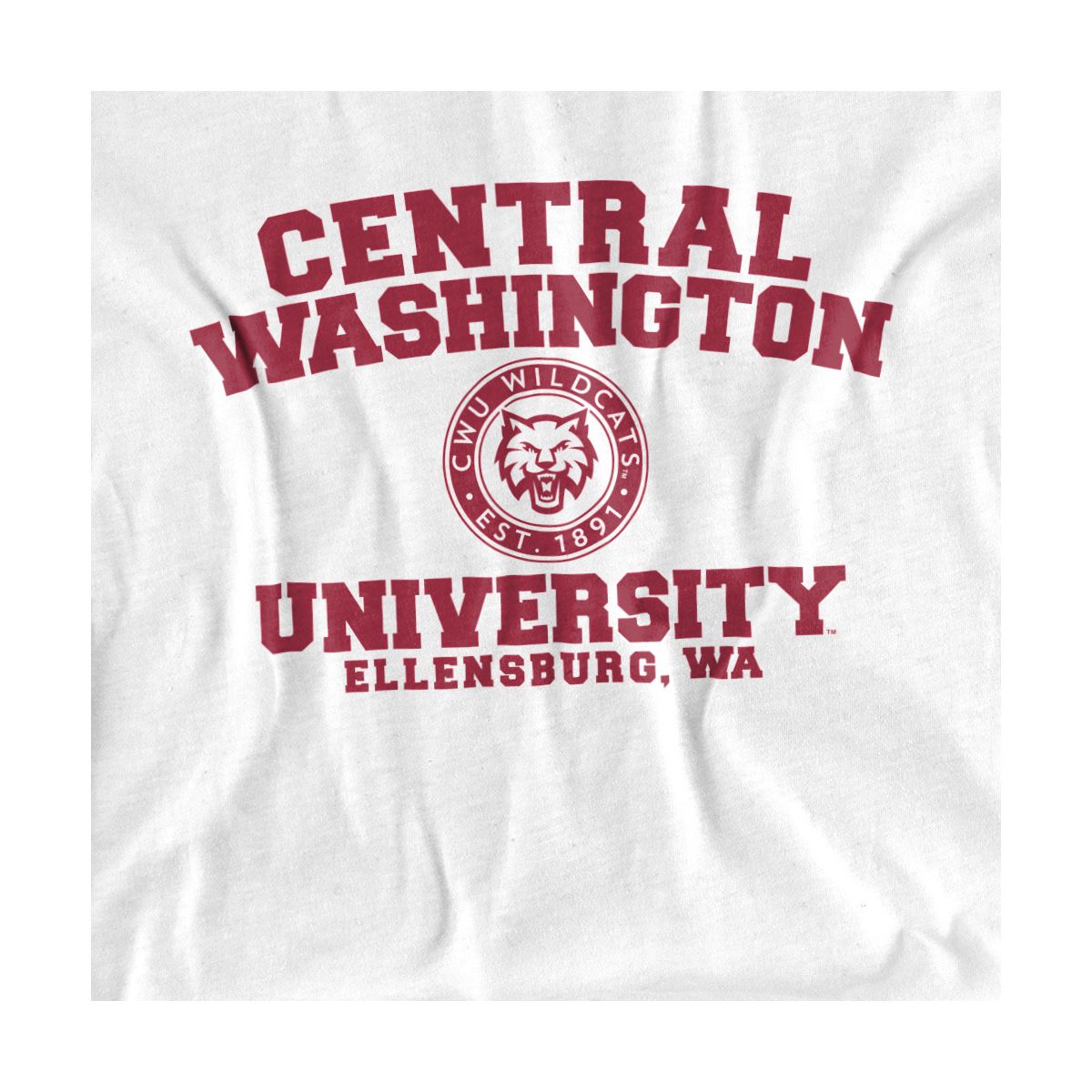 Men's Central Washington University Official Circle Logo T-Shirt - thumbnail 10