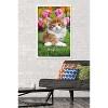 Trends International Keith Kimberlin - Maine Coon Kitten Framed Wall Poster Prints - 2 of 4