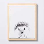 11x14 Framed Canvas Hedgehog - Cloud Island™
