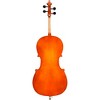 VC80 Samuel Eastman Series Student Cello Outfit - 2 of 2
