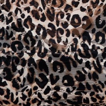 nude cheetah