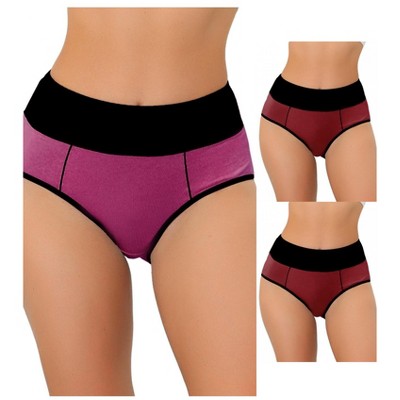 Allegra K Women's High Waist Tummy Control Color-Block Briefs 3 Packs