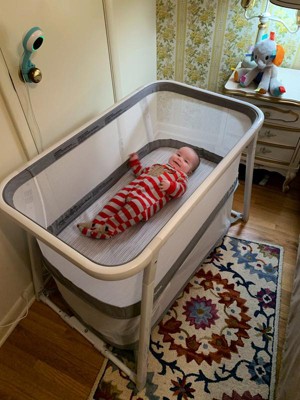 Joovy coo best sale portable bassinet playpen