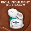 Ghirardelli Easter Milk Chocolate Hollow Bunny - 3oz - 3 of 4