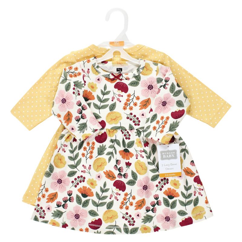 Hudson Baby Girl Cotton Dresses, Fall Botanical, 2 of 5