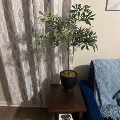 Guest review image 2 of 3, zoom in