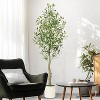 Faux Olive Tree,Olive Trees Artificia Indoor with White Planter and Green Moss,Fake UV Resistant Artificial Tree,Imitation of real olive trees - 4 of 4