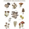 Men's Lost Gods Forest Mushrooms T-Shirt - 2 of 4