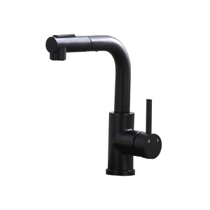 Chery Life Sink Faucet, Brushed Nickel Kitchen Faucets with Pull Down Sprayer, Black - 1 of 4