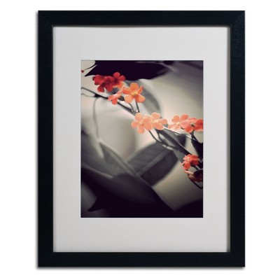 Trademark Fine Art -Philippe Sainte-Laudy 'Soft Grey 1' Matted Framed Art