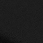 san francisco giants