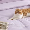 6-8 Pcs Prewashed Comforter Set Bed in a Bag with Soft Fleece Bed Blanket Down Alternative Bedding Set for All Seasons - 3 of 4