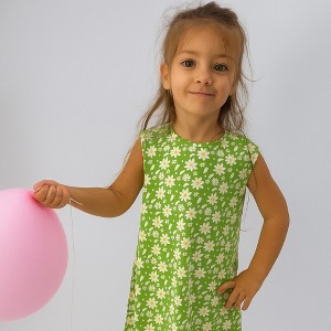 Ola! otter A-Line dress - Breezy Daisy - 1 of 4