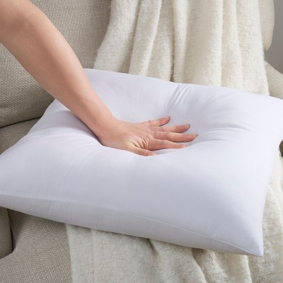 White Polyester 22" x 22" Pillow Inserts, 2-Pack