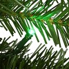 9' Prelit LED Norwood Fir Garland Multicolor Lights - National Tree Company - 4 of 4