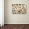 Trademark Fine Art -Silvia Vassileva 'Ivory Floral' Canvas Art - 3 of 3