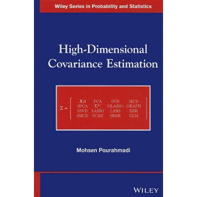 High-Dimensional Covariance Estimation - (Wiley Probability and Statistics) by  Mohsen Pourahmadi (Hardcover)