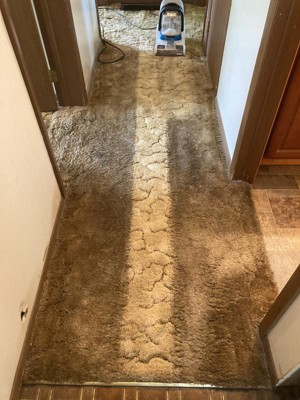 Guest review image 2 of 2, zoom in