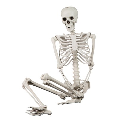 Tangkula 5.4 FT Halloween Life Size Skeleton Realistic Full Body Plastic Skeleton with Movable Joints Hanging Artificial Posable Human Bones