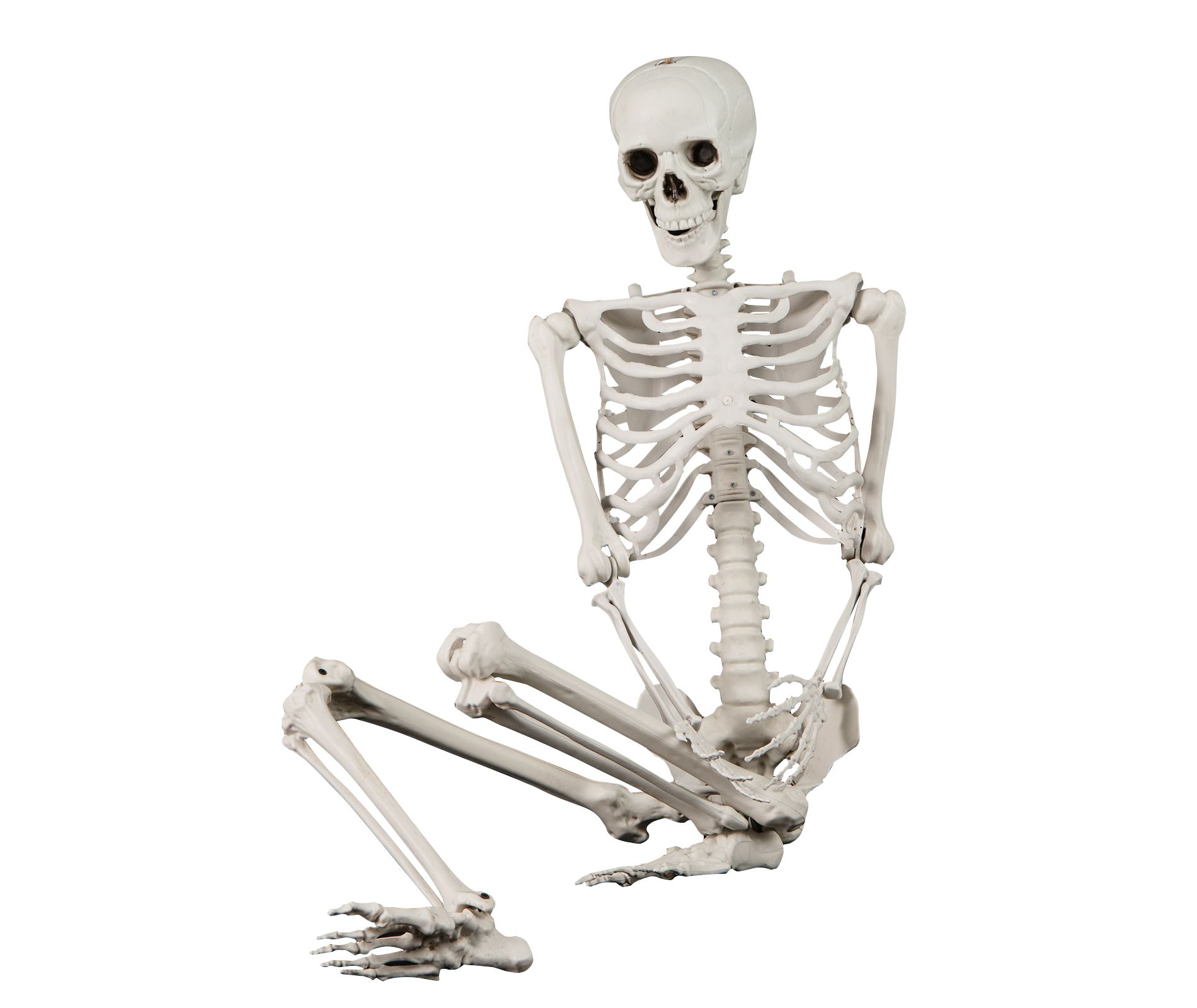 Tangkula 5.4 FT Halloween Life Size Skeleton Realistic Full Body Plastic Skeleton with Movable Joints Hanging Artificial Posable Human Bones