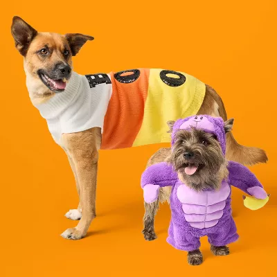 Dog Cat Halloween Costumes 2024 Target