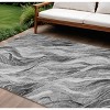 Gray Charcoal And Ivory Abstract Washable Indoor Outdoor Area Rug - 2 of 4