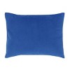 Universal Jurassic World Wild and Free Blue Dinosaur Toddler Pillow - 3 of 4