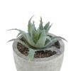 Unique Bargains Artificial Plants Flocked Hard-Leaf Mini Aloe in Pulp Plastic Green 3.15"x3.15"x3.15" 1 Pc - 4 of 4