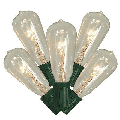 Northlight 10ct Transparent ST40 Edison Style Decorative Christmas Lights Clear - 9' Green Wire