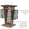 JCs Wildlife Whole Peanut and Suet Feeder - Woodpecker, Chickadee Feeder - 3 of 4
