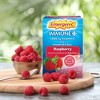Emergen-C Immune+ Dietary Supplement Powder Drink Mix with Vitamin C - Raspberry - 30ct - image 4 of 4