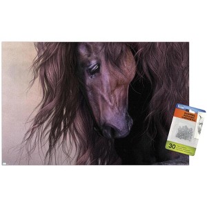 Trends International Laurie Prindle - Equus Unframed Wall Poster Prints - 1 of 4