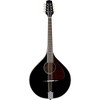 Trinity College TM-325 Standard Celtic Octave Mandolin - 2 of 4