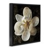 Stupell Industries Rustic Patterned Magnolia, 18" x 18" - 3 of 4