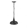 Millennium Lighting 1 - Light Pendant in  Powder Coated Black - 4 of 4