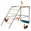 Chicken Coop Roosting Perch, Chicken Perch for Coop, Large Chicken Roosting Bar for Backyard Poultry, Farm Chick Ladder Suitable for Chicken Run - 2 of 4