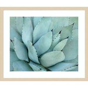 Amanti Art Agave Detail IV by Brittany Evans Wood Framed Wall Art Print - 1 of 4