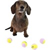 Midlee Small Dog Tennis Ball- Yellow/Lavender- Set of 12 - 2 of 4