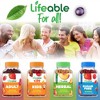Lifeable - Panax Ginseng - Adult - 60 Gummies - 3 of 4