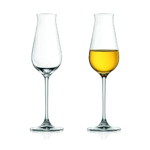 LEMONSODA Specialty Cordial Glasses - Set of 2 - 8 oz - 1 of 4