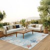 Nourison Suncoast Beach Indoor/Outdoor Flatweave Rug - 2 of 4