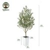 Artificial Olive Tree 5ft/6ft Tall Faux Indoor Plant - Realistic Green Leaves and Black Olives - Decorative Potted Tree for Living Room Home Office - 3 of 4