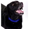Country Brook Petz Premium Nylon Dog Collar and Leash Set for Small Medium Large Dogs - Vibrant 30+ Color Selection - 3 of 4