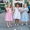 Hope & Henry Girls'  Pleated Flutter Sleeve Apron Dress with Embroidery, Toddler - 2 of 4